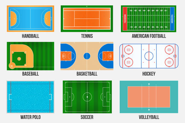 ilustrações, clipart, desenhos animados e ícones de ilustração em vetor criativa dos campos de jogo de esporte marcando isolada no fundo. elemento gráfico para o handebol, tênis, futebol americano, futebol, beisebol, basquetebol, hóquei, polo aquático, voleibol - playing field illustrations