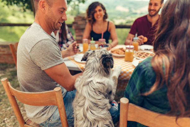 istock group of friends doing breakfast outdoors in a traditional countryside 1008005746