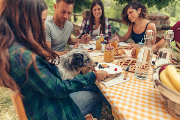 istock group of friends doing breakfast outdoors in a traditional countryside 1008005762