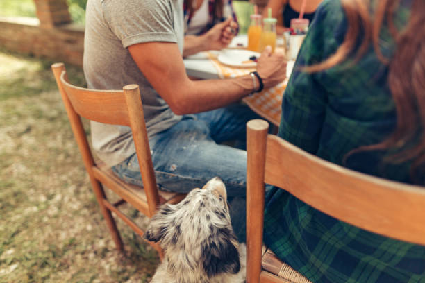 istock group of friends doing breakfast outdoors in a traditional countryside 1008005802