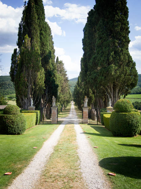 istock Dirt road in Tuscany through cypress trees under blue clouded sky 1008005976