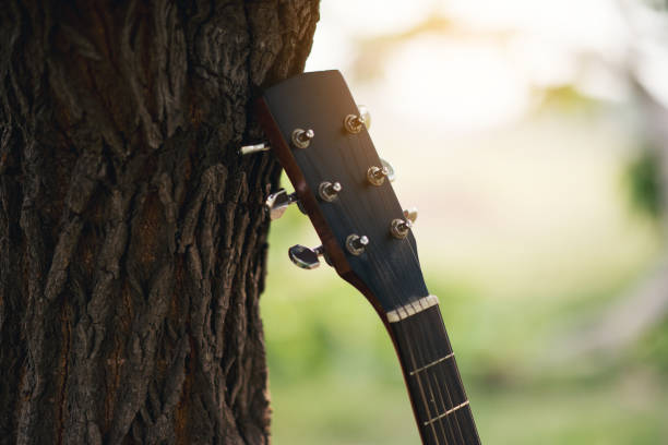 istock My hand and guitar instrument 1008009012