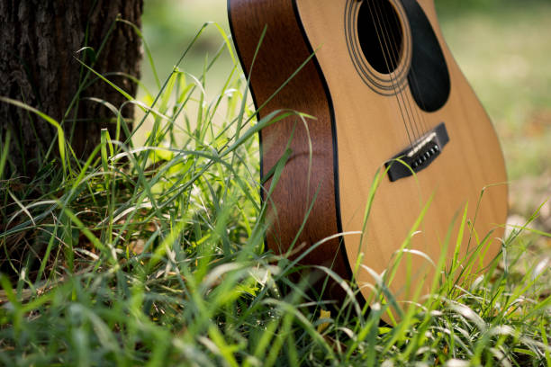 istock My hand and guitar instrument 1008009016