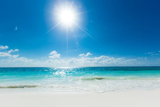 istock tropical Maldives island with white sandy beach and sea 1008015404