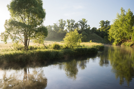 Serene summer landscape. Quiet river and green trees on banks in sunny morning time