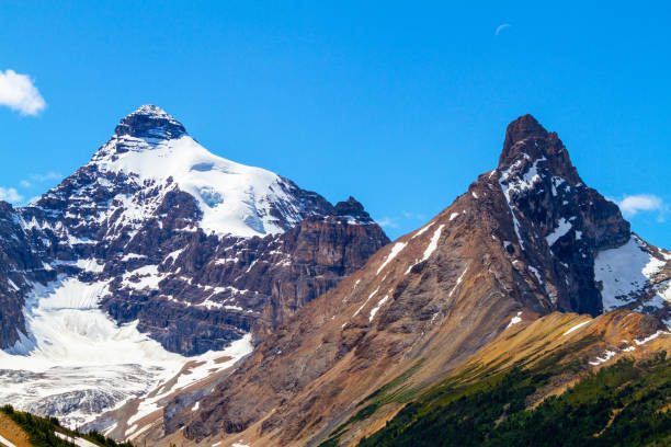 istock Canadian Rockies on the Icefields Parkway in Jasper National Park 1008016782