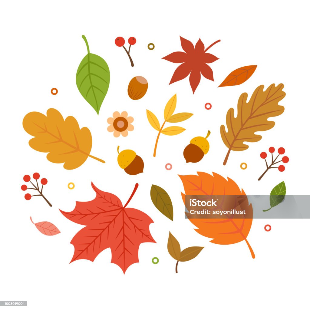 Autumn leaves set isolated on white background - Royalty-free Outono arte vetorial