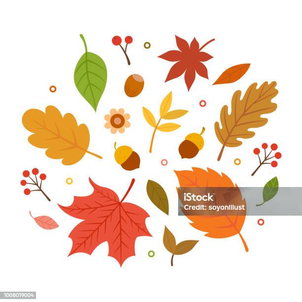 Autumn Leaves Set Isolated On White Background - Arte vetorial de stock e mais imagens de Outono - Outono, Folha, Cair