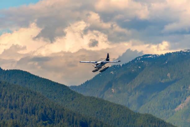 istock airplane, hydroplane flies in mountains covered with forest, under pink evening clouds 1008021876