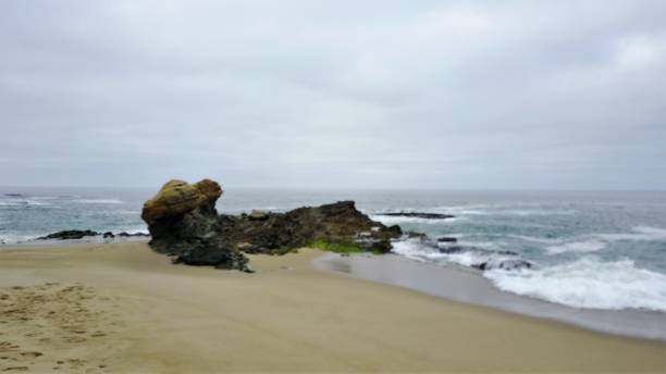 istock Laguna Beach California drone picture 1008027460