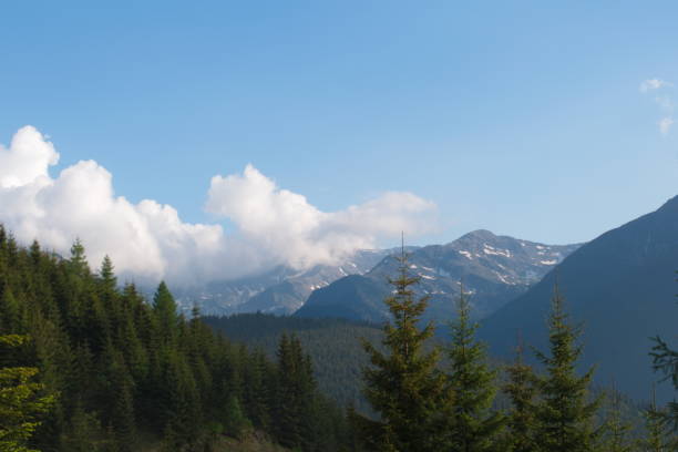 istock Beautiful scenery in the mountains 1008028012