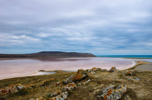 istock Pink salted lake in Crimea 1008030846