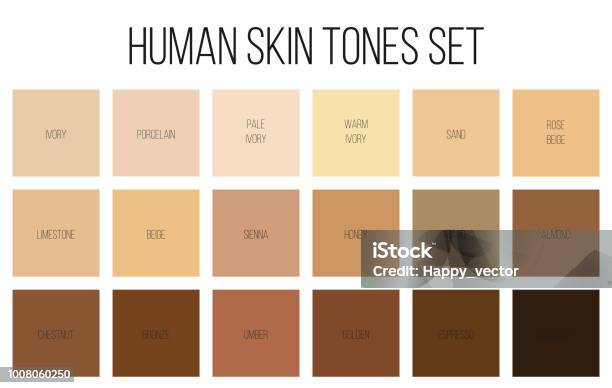 Creative Vector Illustration Of Human Skin Tone Color Palette Set Isolated On Transparent Background Art Design Abstract Concept Person Face Body Complexion Graphic Element For Cosmetics Stock Illustration - Download Image Now