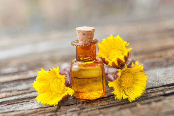 istock foalfoot essential oil in  beautiful bottle on table 1008070882