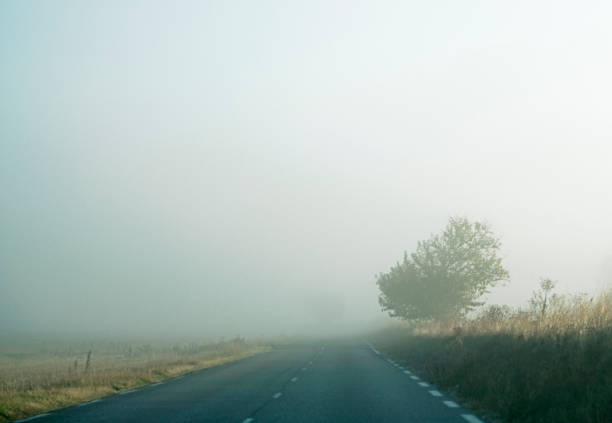 Farm Road Heading into the Bright Foggy Valley. The Sun is Shining above the Valley.