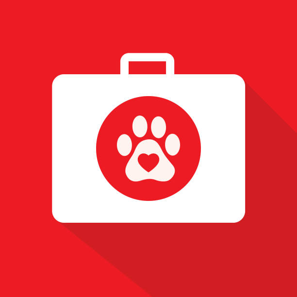 illustrazioni stock, clip art, cartoni animati e icone di tendenza di kit di pronto soccorso per animali - dog first aid first aid kit assistance