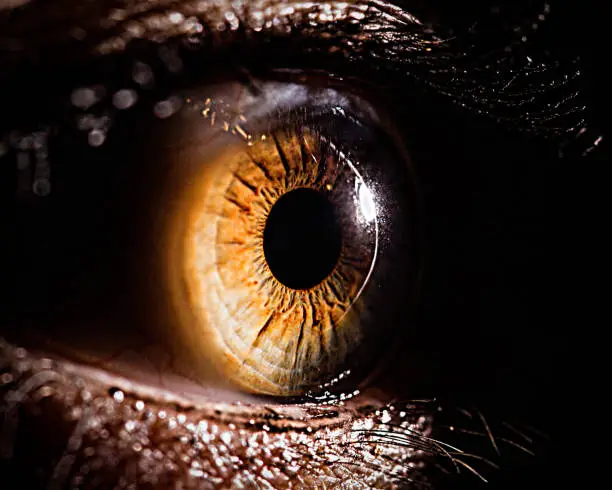 Macro image capture of a human eye