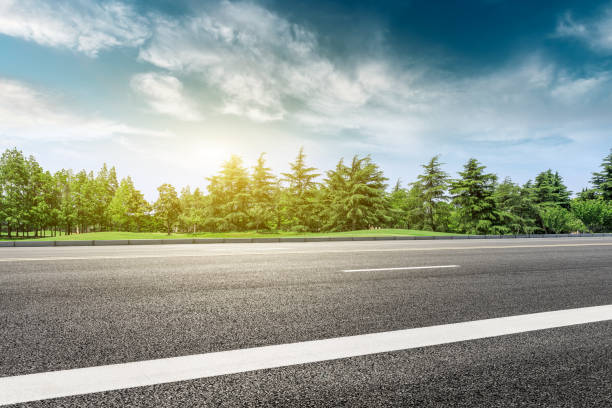 istock Asphalt road and green forest landscape at sunset 1008095978