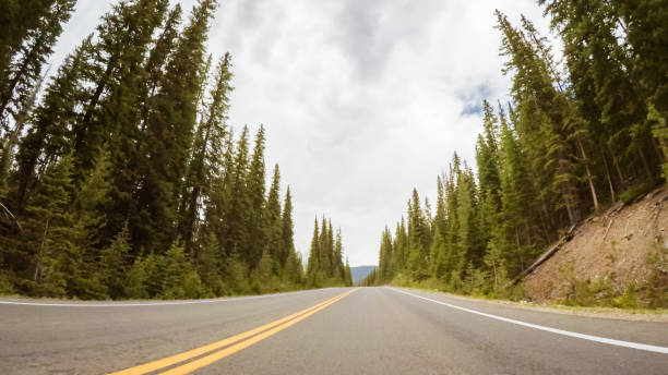 istock Driving on the road in summer 1008096074