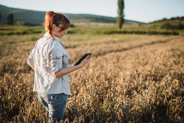 istock Woman examining in the field 1008098966