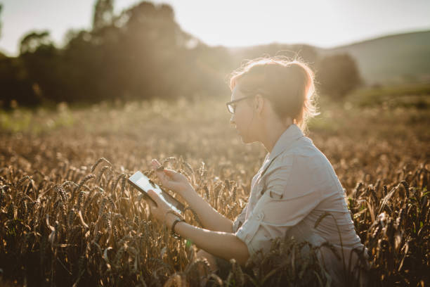 Woman examining in the field
