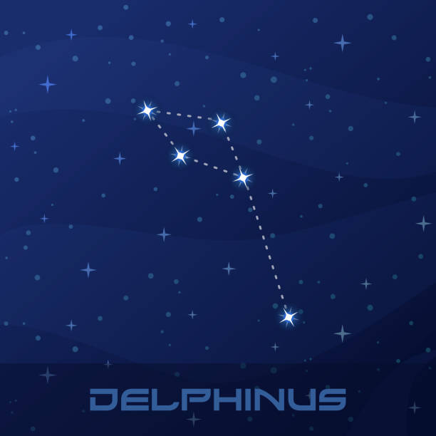 Constellation Delphinus, Dolphin, night star sky Constellation Delphinus, Dolphin, night star sky, flyer advertisement constellation delphinus stock illustrations