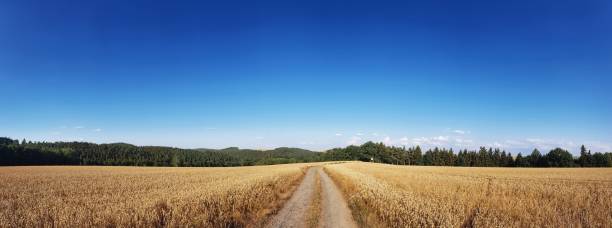 istock scenic panorama view of natural landscape under a cloudy sky 1008099514