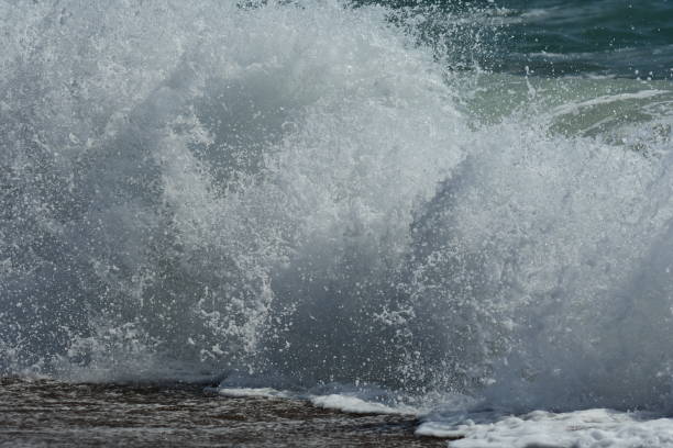 istock Curling wave motion frozen as it crashes onto beach 1008099548