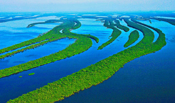 Amazon Rainforest River in the Amazon Rainforest. amazon forest stock pictures, royalty-free photos & images