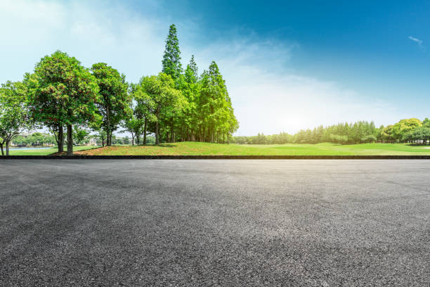 asphalt road and green forest landscape - car horizon over land driving street imagens e fotografias de stock