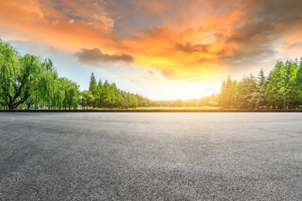 istock Asphalt road and green forest landscape at sunset 1008105172