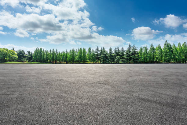 istock Asphalt road and green forest landscape 1008105230