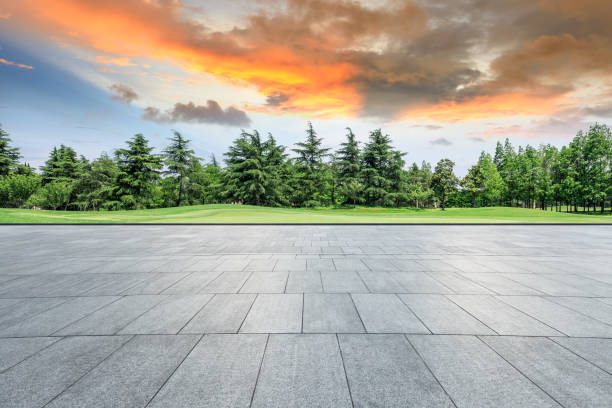 istock Square floor and green trees natural landscape 1008107572
