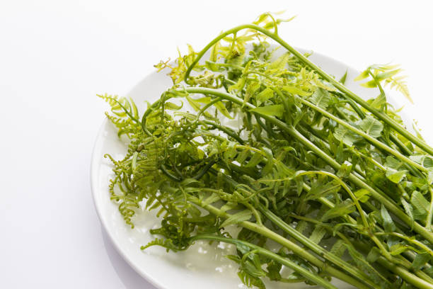 Paco fern (Diplazium esculentum) in plate on table