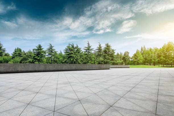 istock Square floor and green trees natural landscape 1008107858