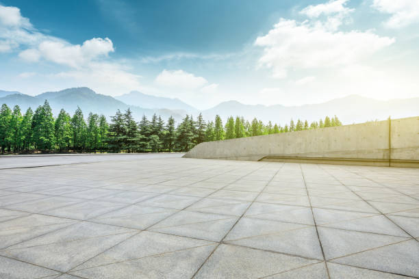 istock Square floor and mountain with trees natural landscape 1008108166