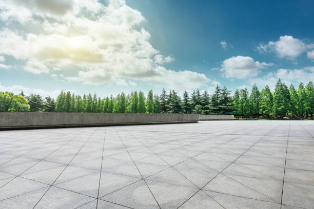 istock Square floor and green trees natural landscape 1008108334