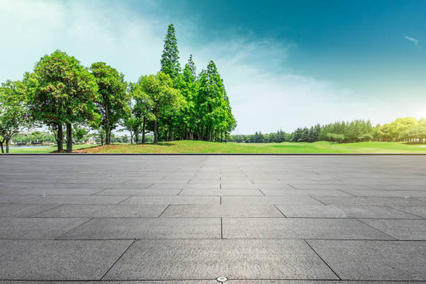 istock Square floor and green trees natural landscape 1008108772