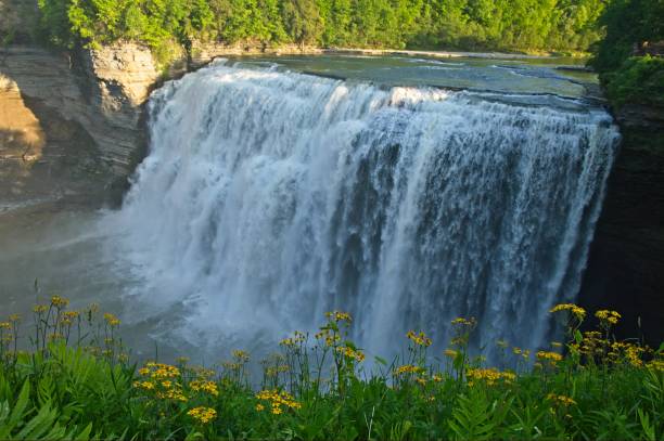 istock The Genesee river flows through a deep gorge at Letchworth state park in western New York 1008110994