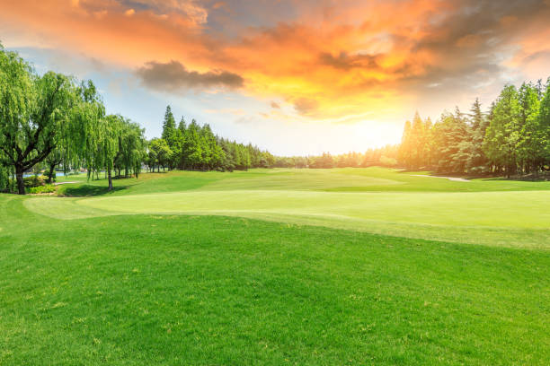 istock Green grass and trees scenery in summer 1008118538