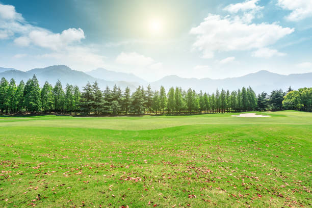istock Green grass and mountains with trees landscape 1008118644