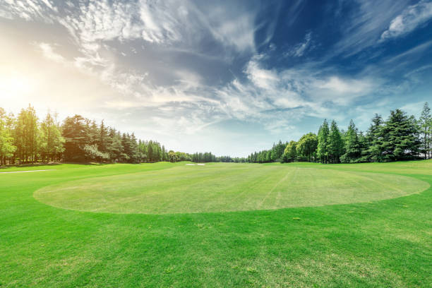 istock Green grass and trees scenery in summer 1008118730