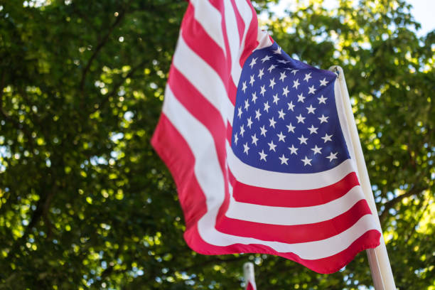 istock american flag in an forest 1008121028