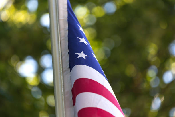 istock american flag in an forest 1008121032
