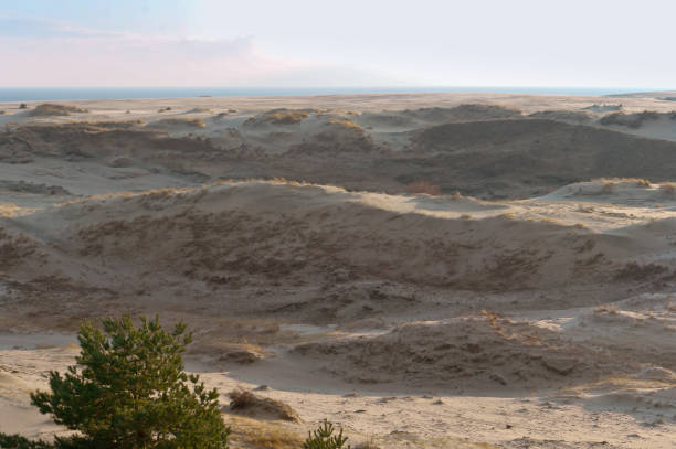 istock sunset over the sand dune, sand dune by the sea 1008121506