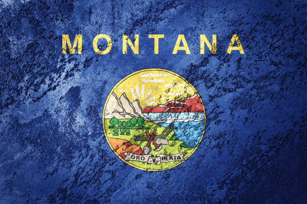 bandeira de estado de montana grunge. bandeira de montana fundo textura grunge. - montana flag us state flag banner - fotografias e filmes do acervo