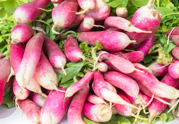 istock Freshly picked radishes from the garden 1008151848
