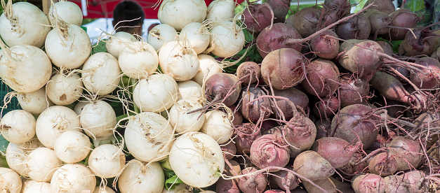 White and purple turnips for sale at the local market
