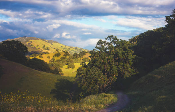 istock View of Mt. Diablo 1008154740
