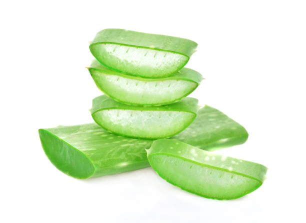 istock Aloe vera fresh leaf isolated on white background 1008156928